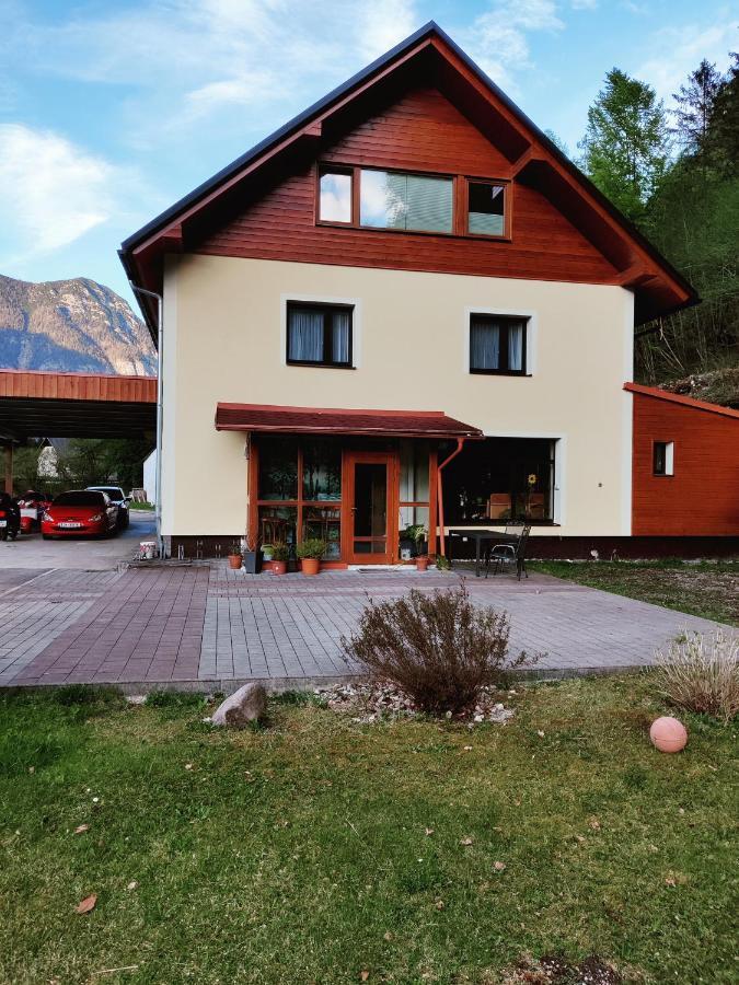 Seeblick Krippenstein Obertraun Eksteriør billede