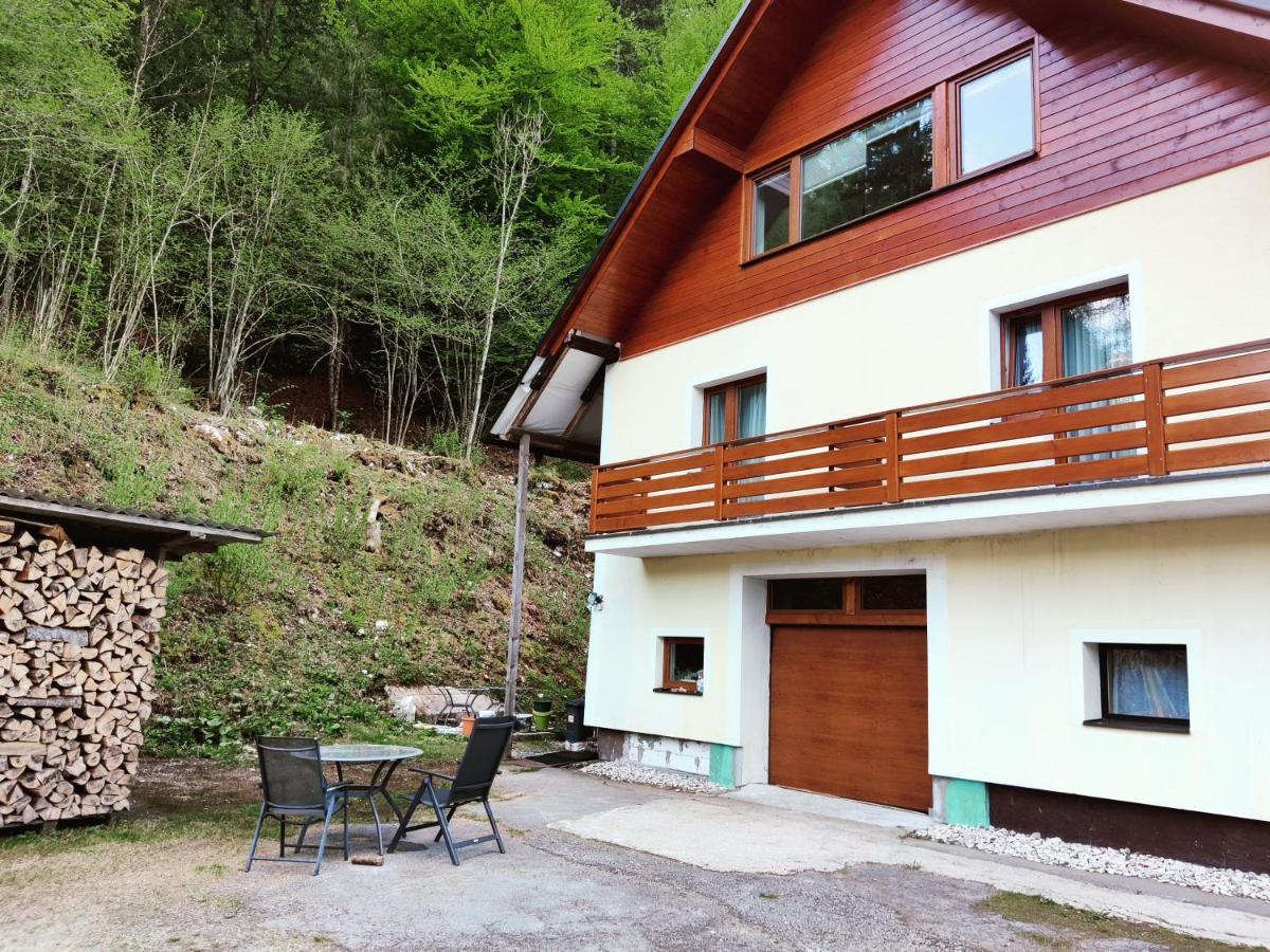 Seeblick Krippenstein Obertraun Eksteriør billede