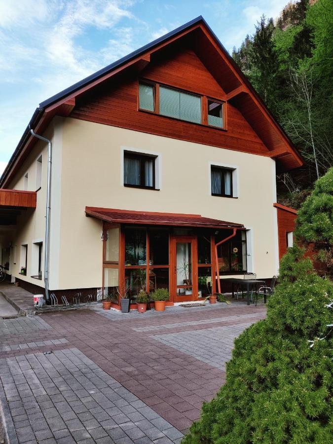Seeblick Krippenstein Obertraun Eksteriør billede